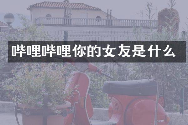 哔哩哔哩你的女友是什么