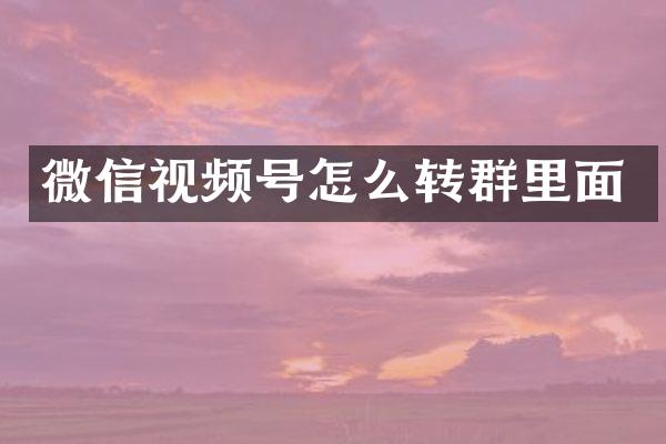微信视频号怎么转群里面