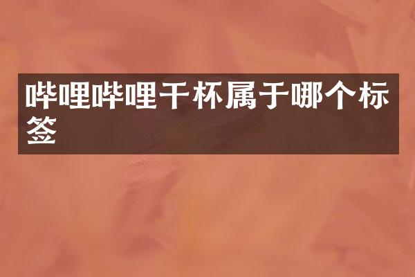 哔哩哔哩干杯属于哪个标签