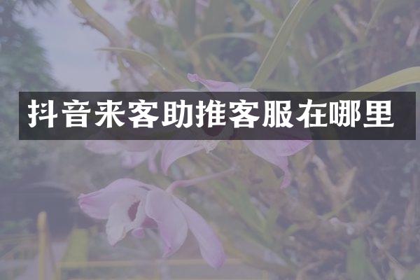 抖音来客助推客服在哪里