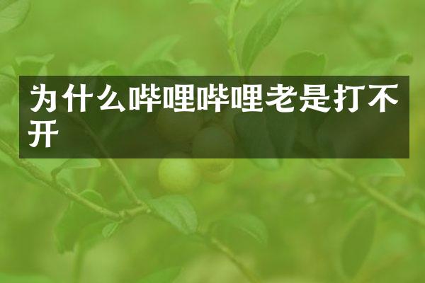 为什么哔哩哔哩老是打不开