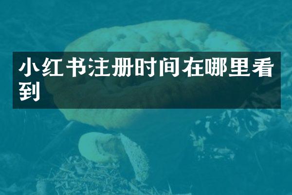 小红书注册时间在哪里看到