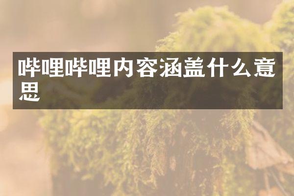 哔哩哔哩内容涵盖什么意思