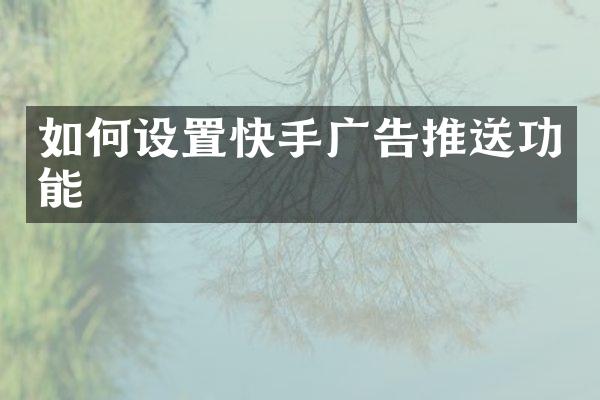 如何设置快手广告推送功能