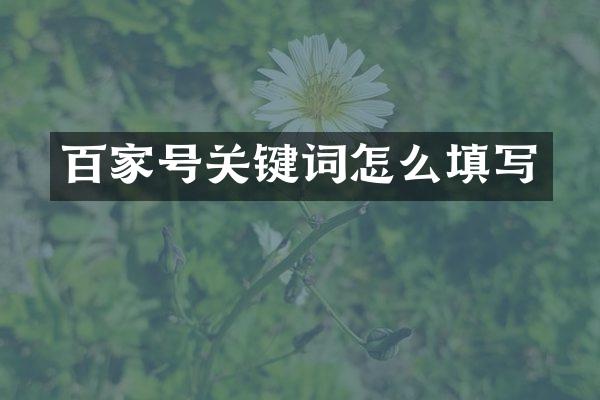 百家号关键词怎么填写