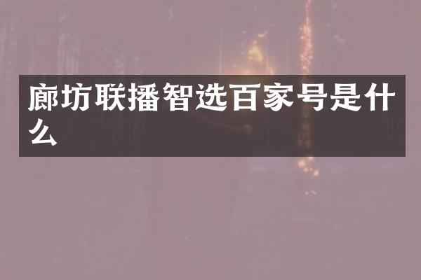廊坊联播智选百家号是什么