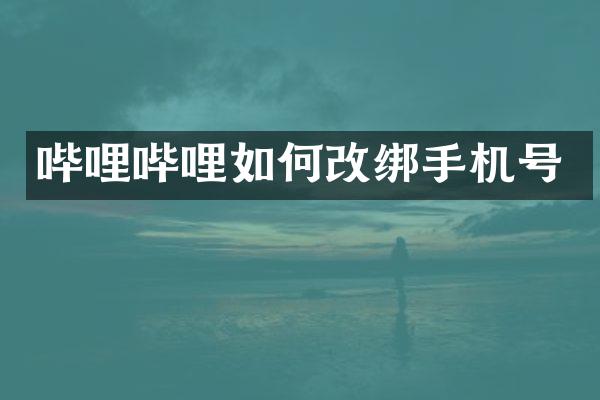 哔哩哔哩如何改绑手机号