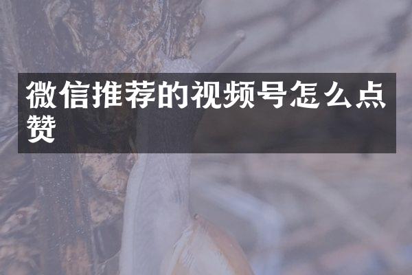 微信推荐的视频号怎么点赞