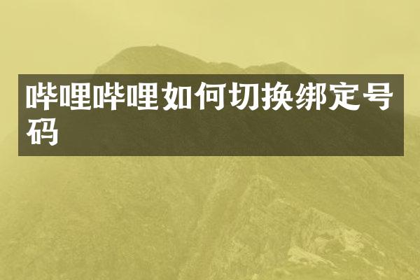 哔哩哔哩如何切换绑定号码