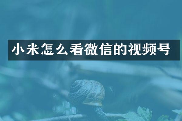 小米怎么看微信的视频号