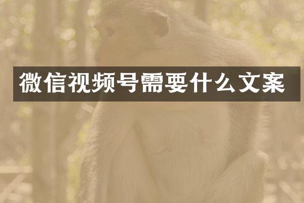 微信视频号需要什么文案