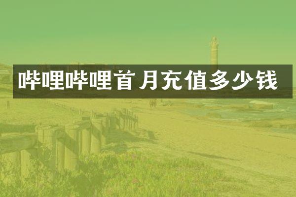 哔哩哔哩首月充值多少钱