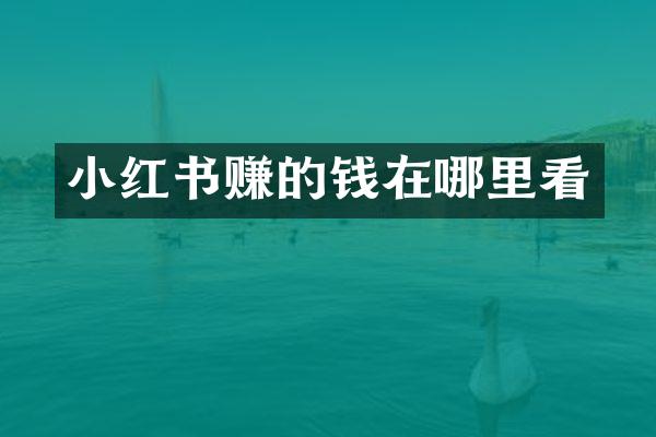 小红书赚的钱在哪里看