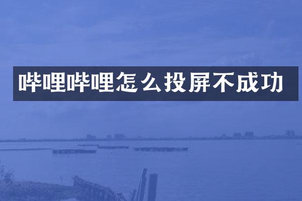 哔哩哔哩怎么投屏不成功