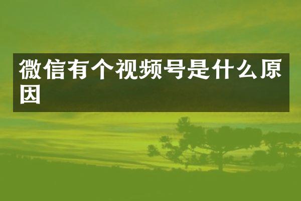 微信有个视频号是什么原因