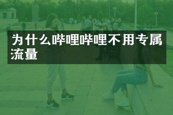 为什么哔哩哔哩不用专属流量
