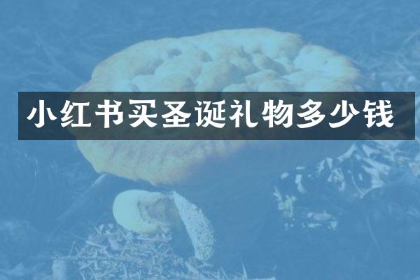 小红书买圣诞礼物多少钱