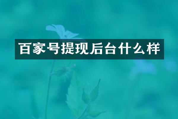 百家号提现后台什么样