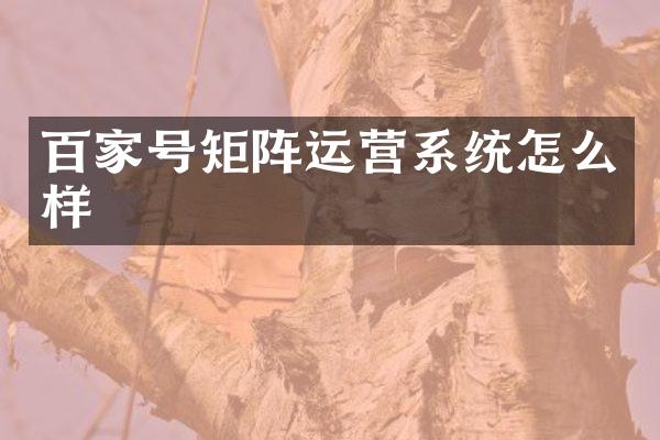 百家号矩阵运营系统怎么样