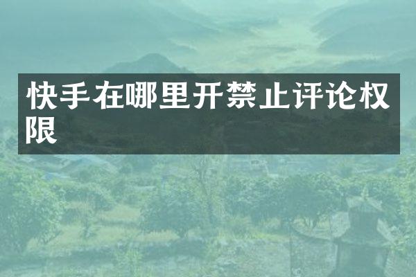 快手在哪里开禁止评论权限