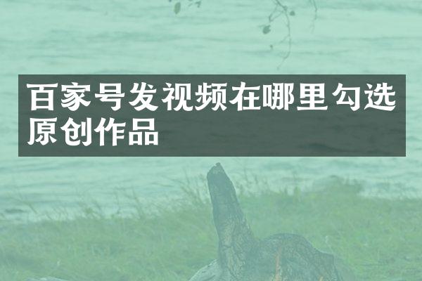 百家号发视频在哪里勾选原创作品
