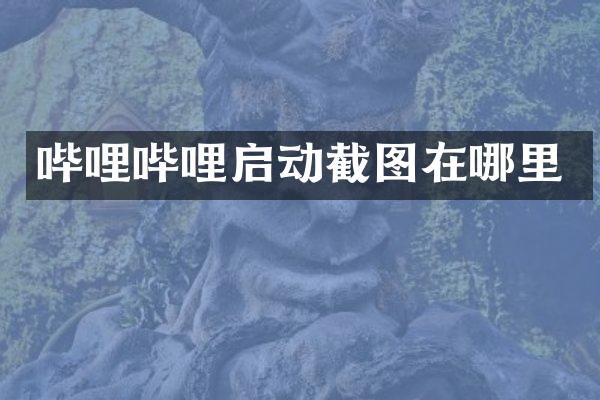 哔哩哔哩启动截图在哪里