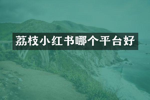 荔枝小红书哪个平台好
