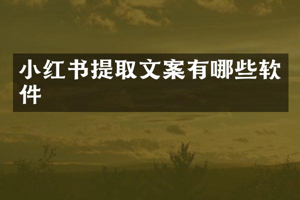 小红书提取文案有哪些软件