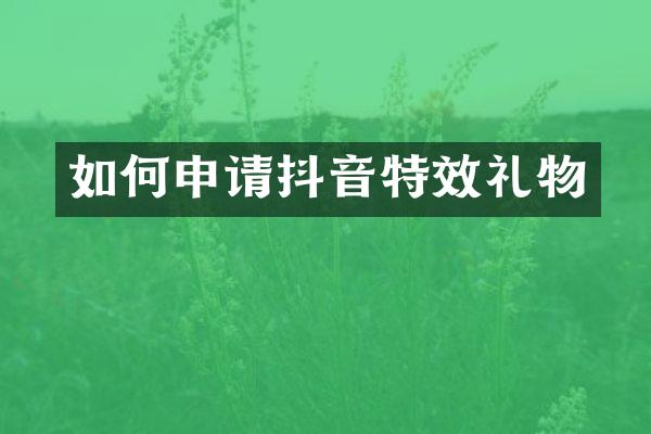如何申请抖音特效礼物