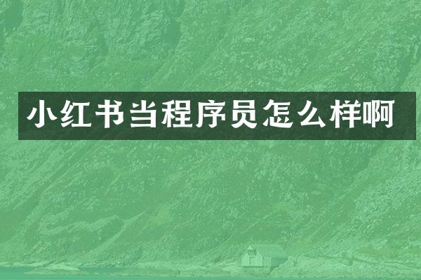 小红书当程序员怎么样啊