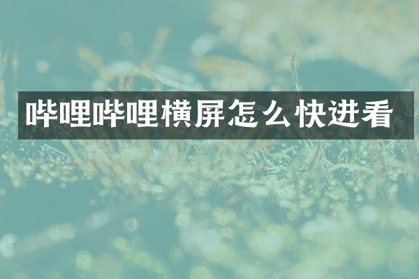 哔哩哔哩横屏怎么快进看