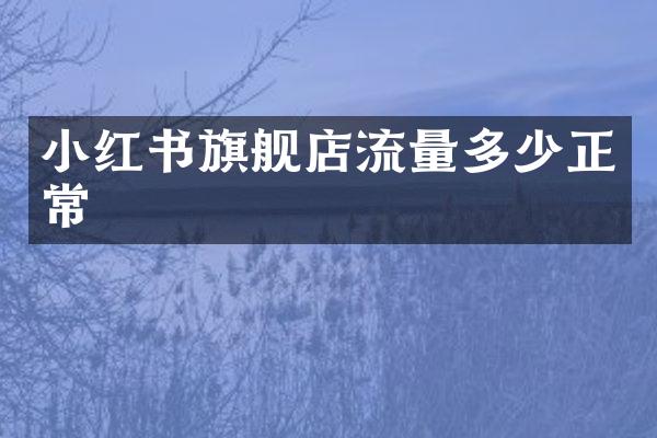 小红舰店流量多少正常