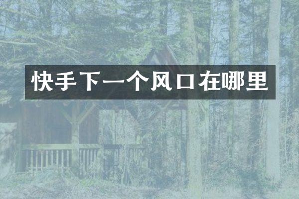 快手下一个风口在哪里