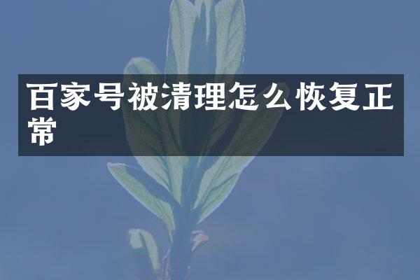 百家号被清理怎么恢复正常