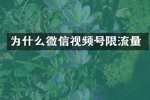 为什么微信视频号限流量