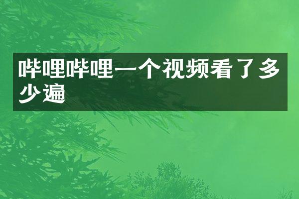 哔哩哔哩一个视频看了多少遍