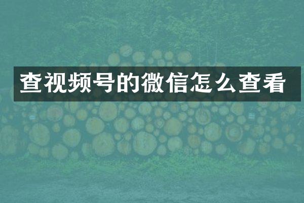 查视频号的微信怎么查看