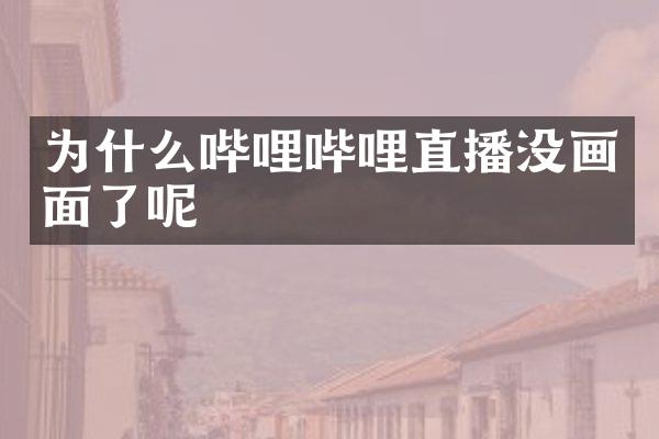 为什么哔哩哔哩直播没画面了呢