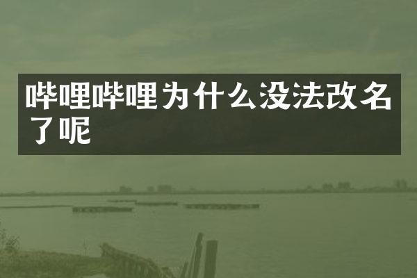 哔哩哔哩为什么没法改名了呢