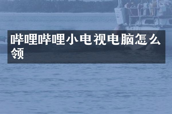 哔哩哔哩小电视电脑怎么领
