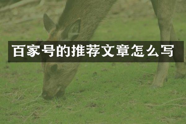 百家号的推荐文章怎么写