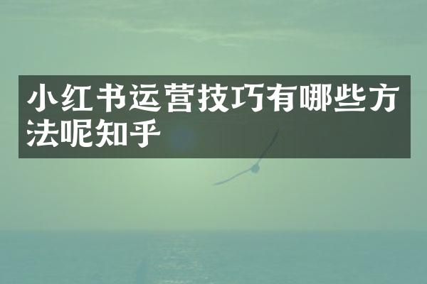 小红书运营技巧有哪些方法呢知乎