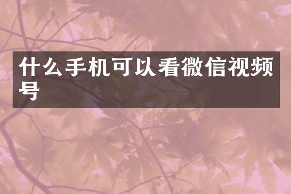 什么手机可以看微信视频号