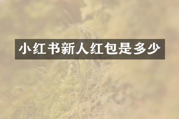 小红书新人红包是多少
