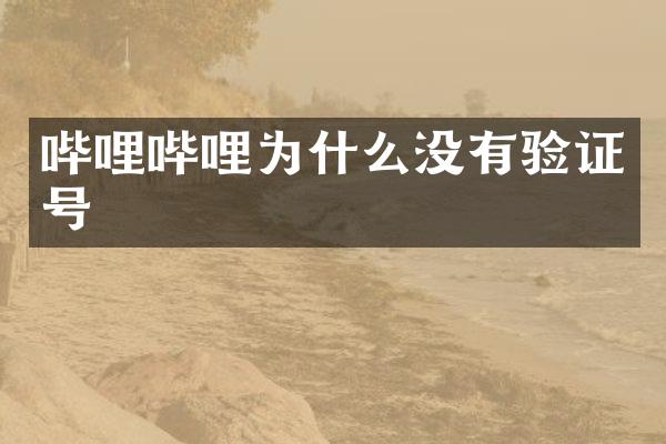 哔哩哔哩为什么没有验证号