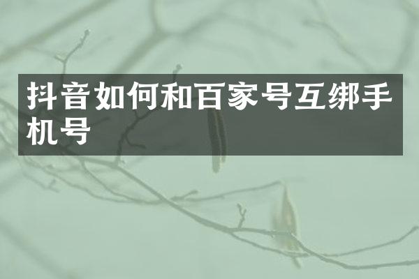 抖音如何和百家号互绑手机号