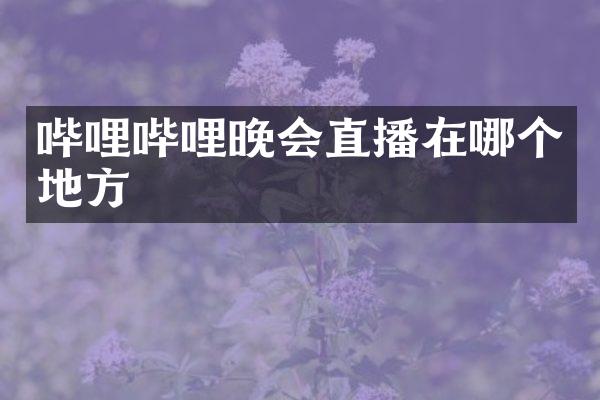 哔哩哔哩晚会直播在哪个地方