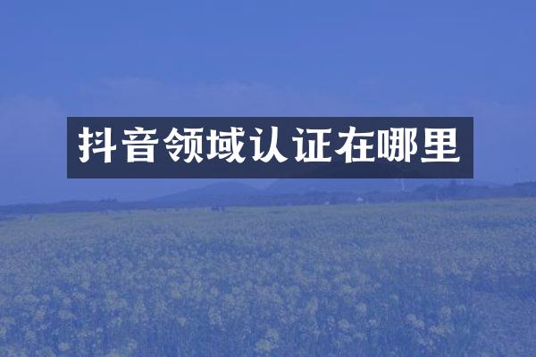 抖音领域认证在哪里
