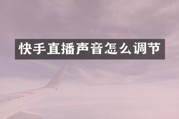 快手直播声音怎么调节