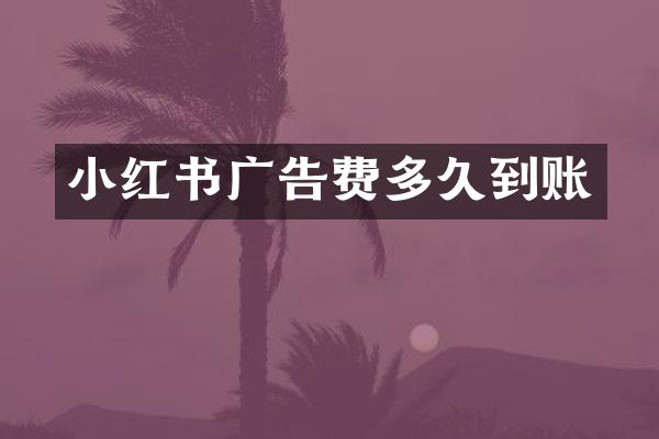 小红书广告费多久到账
